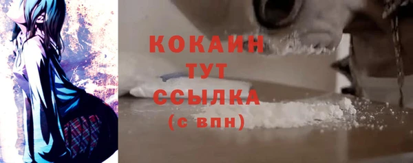 мдпв Тайга