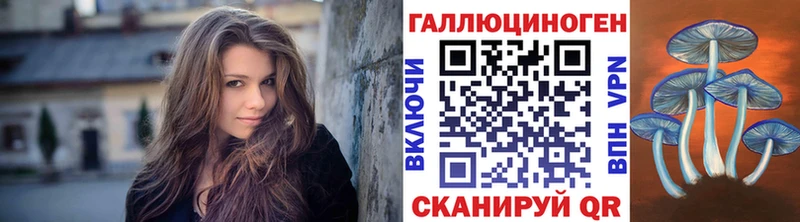 blacksprut ТОР  Элиста  Псилоцибиновые грибы мицелий 